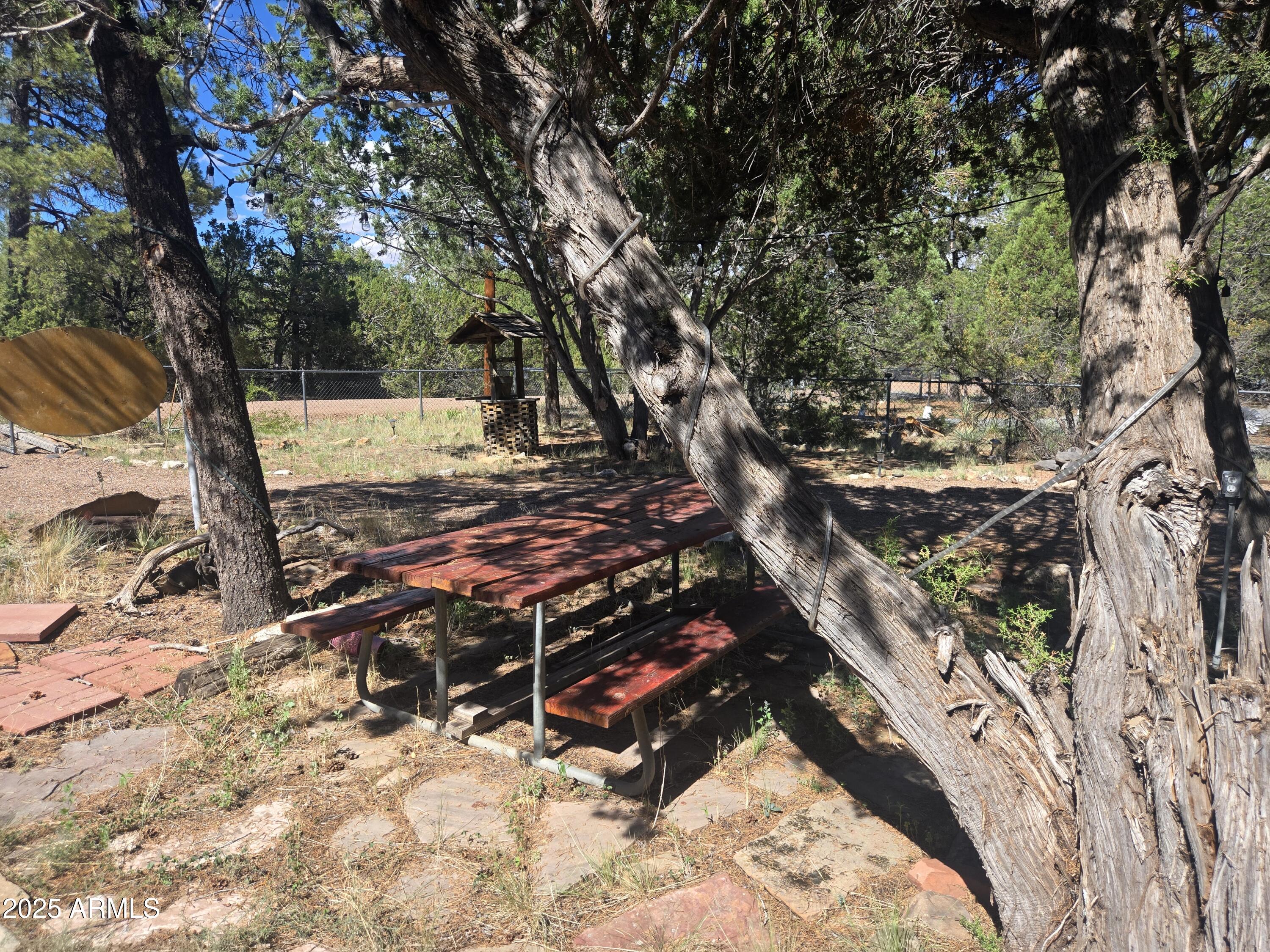 2145 Fishermans Road Overgaard, AZ 85933 - Photo 26 of 28 a view of a yard with snow