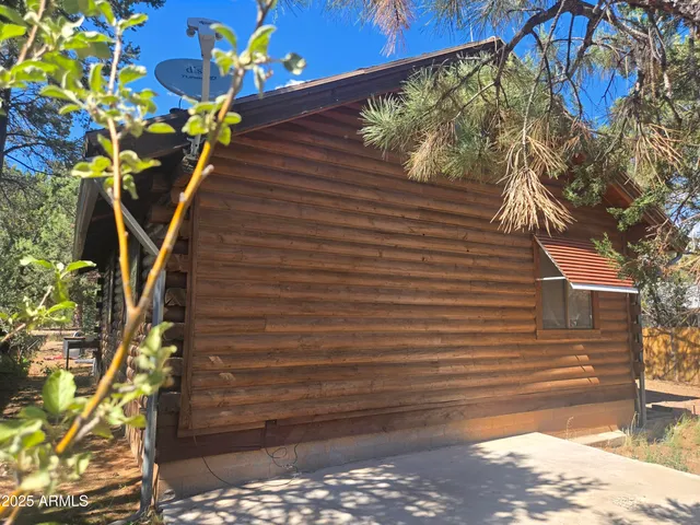 a view of a pathway with a tree