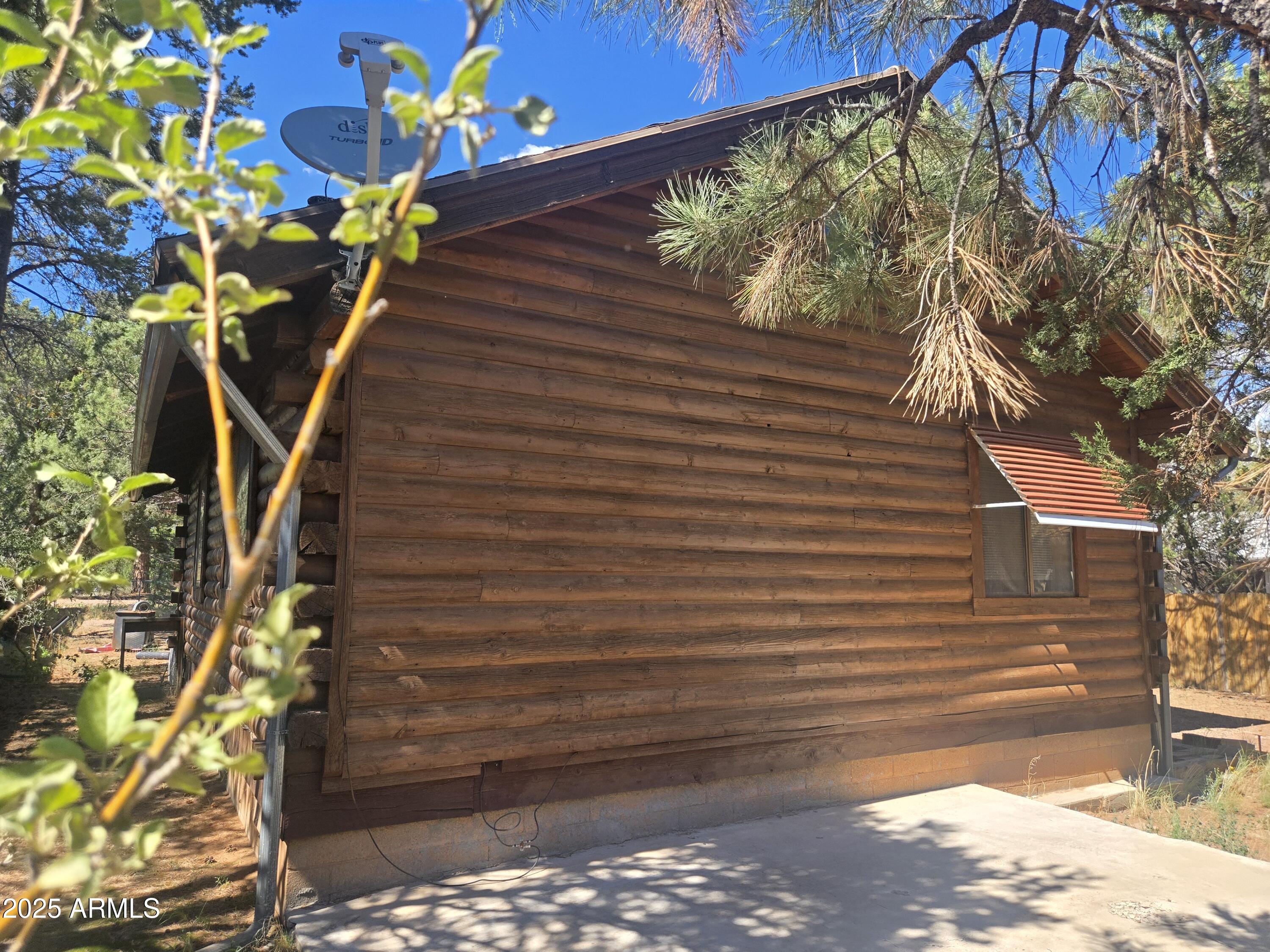2145 Fishermans Road Overgaard, AZ 85933 - Photo 4 of 28 a view of a pathway with a tree