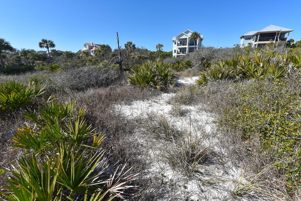 2116 Sea Fern Way St. George Island, FL 32328 - Photo 6 of 21