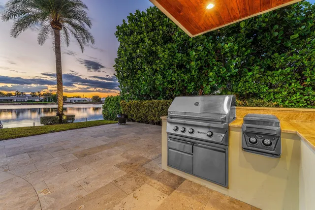 a lake with palm trees