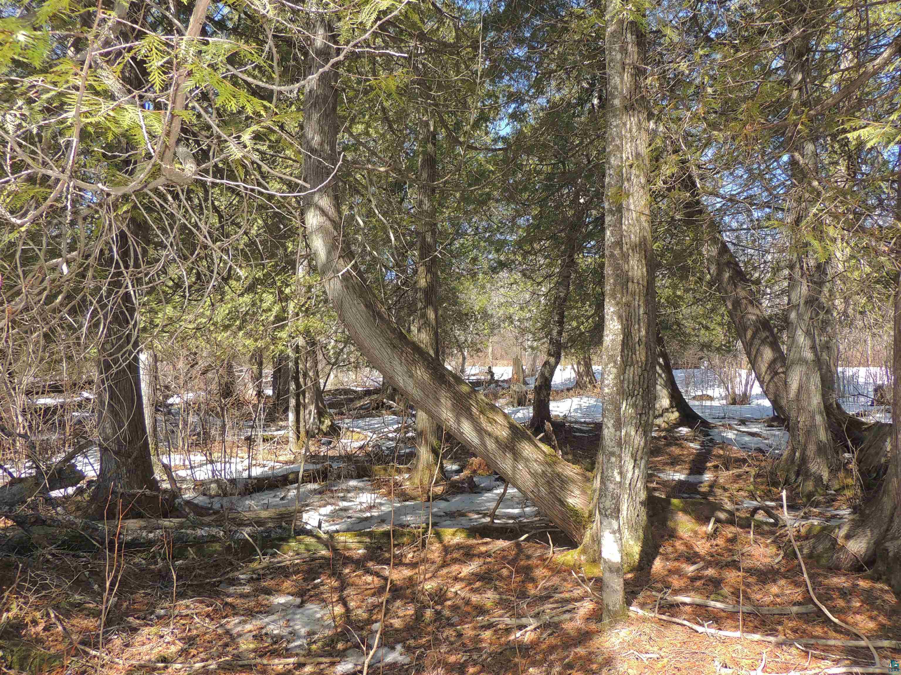 X30 Isak Ridge Lutsen, MN 55612 - Photo 20 of 28