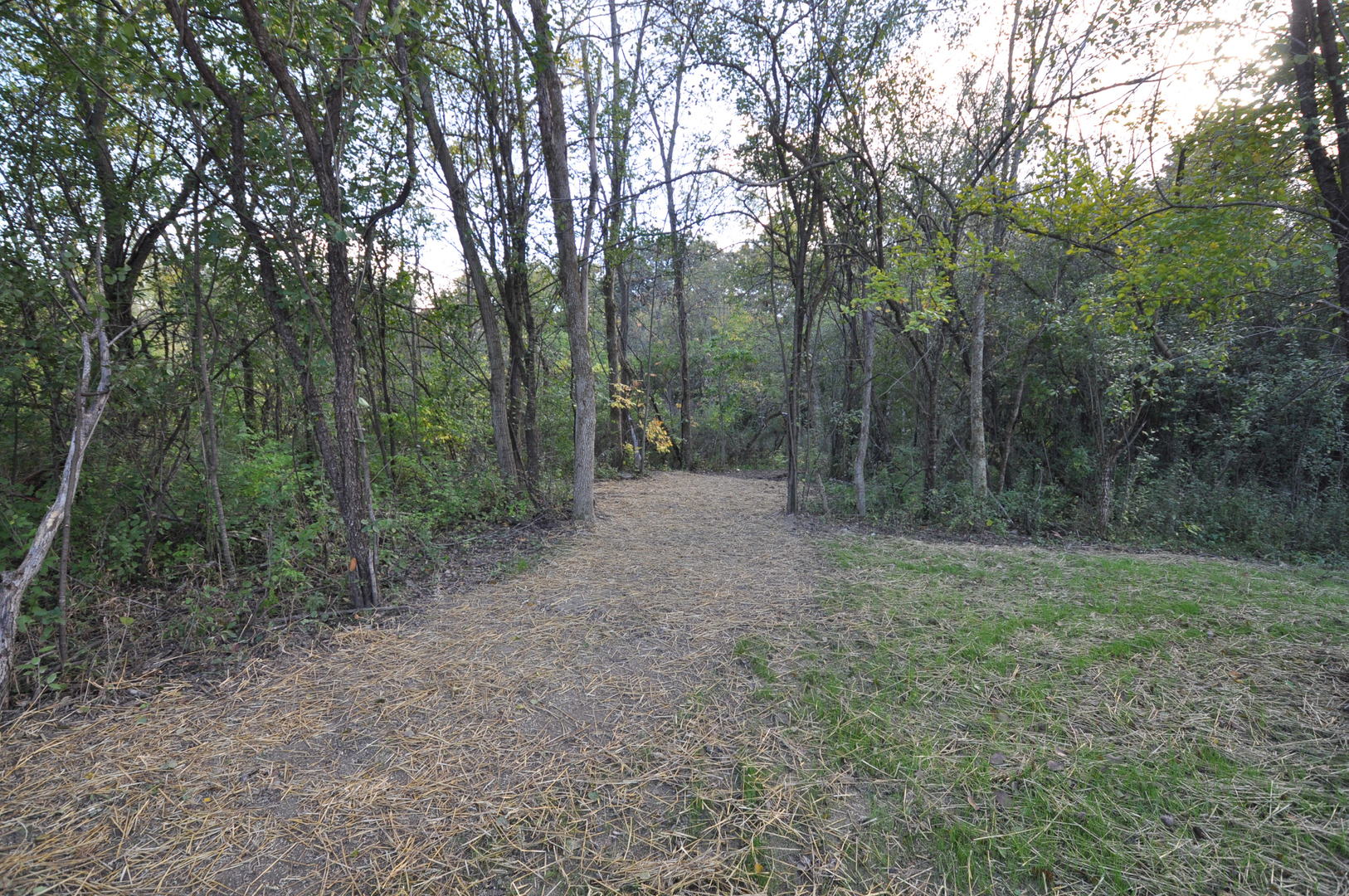 26369 Park Place Antioch, IL 60002 - Photo 7 of 24 a view of a forest with trees in the background