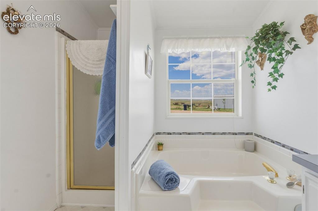 26155 Sweet Road Calhan, CO 80808 - Photo 19 of 36