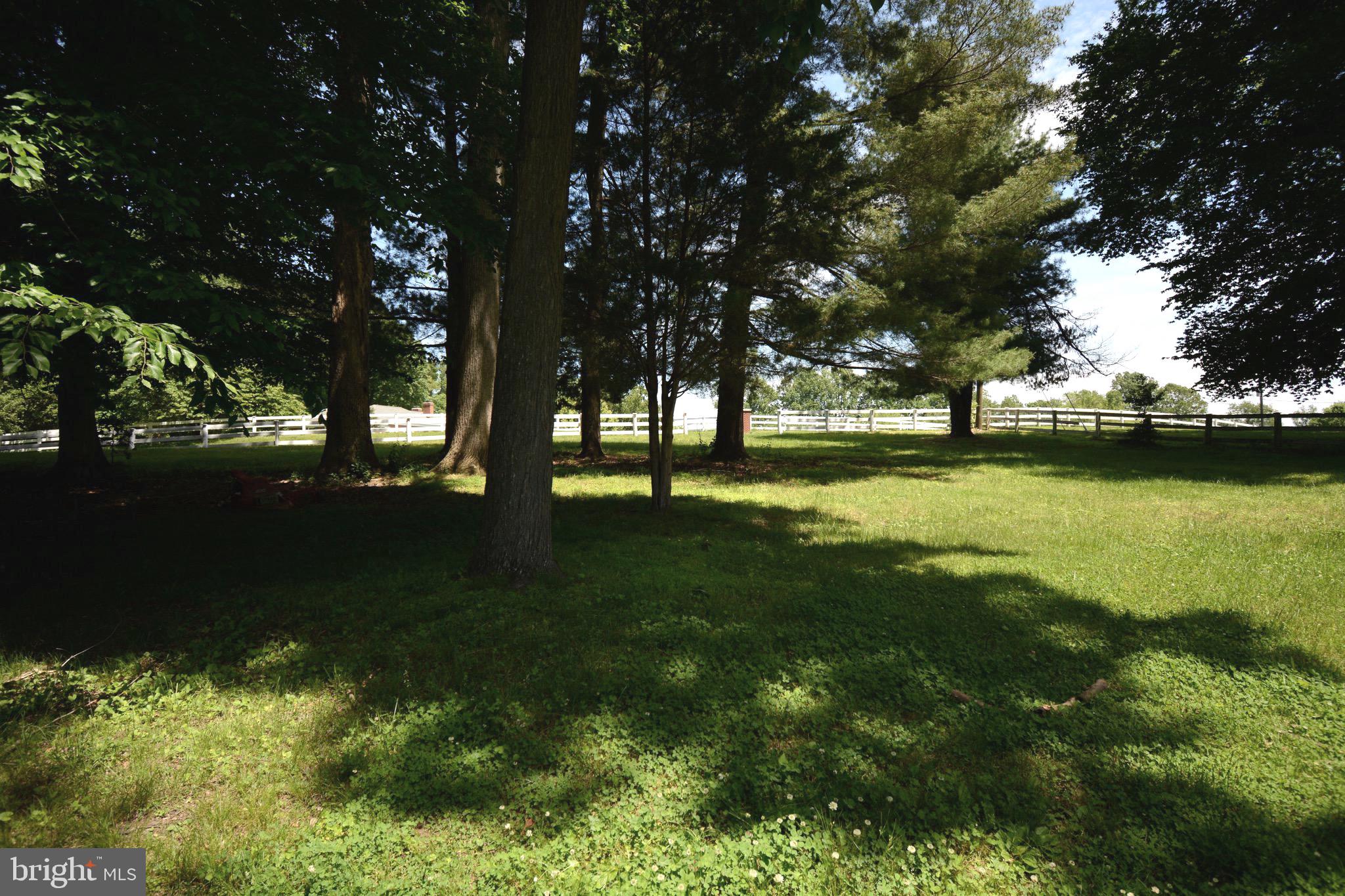 6500 Stallion Road Clifton, VA 20124 - Photo 6 of 66 Gallery Image 6