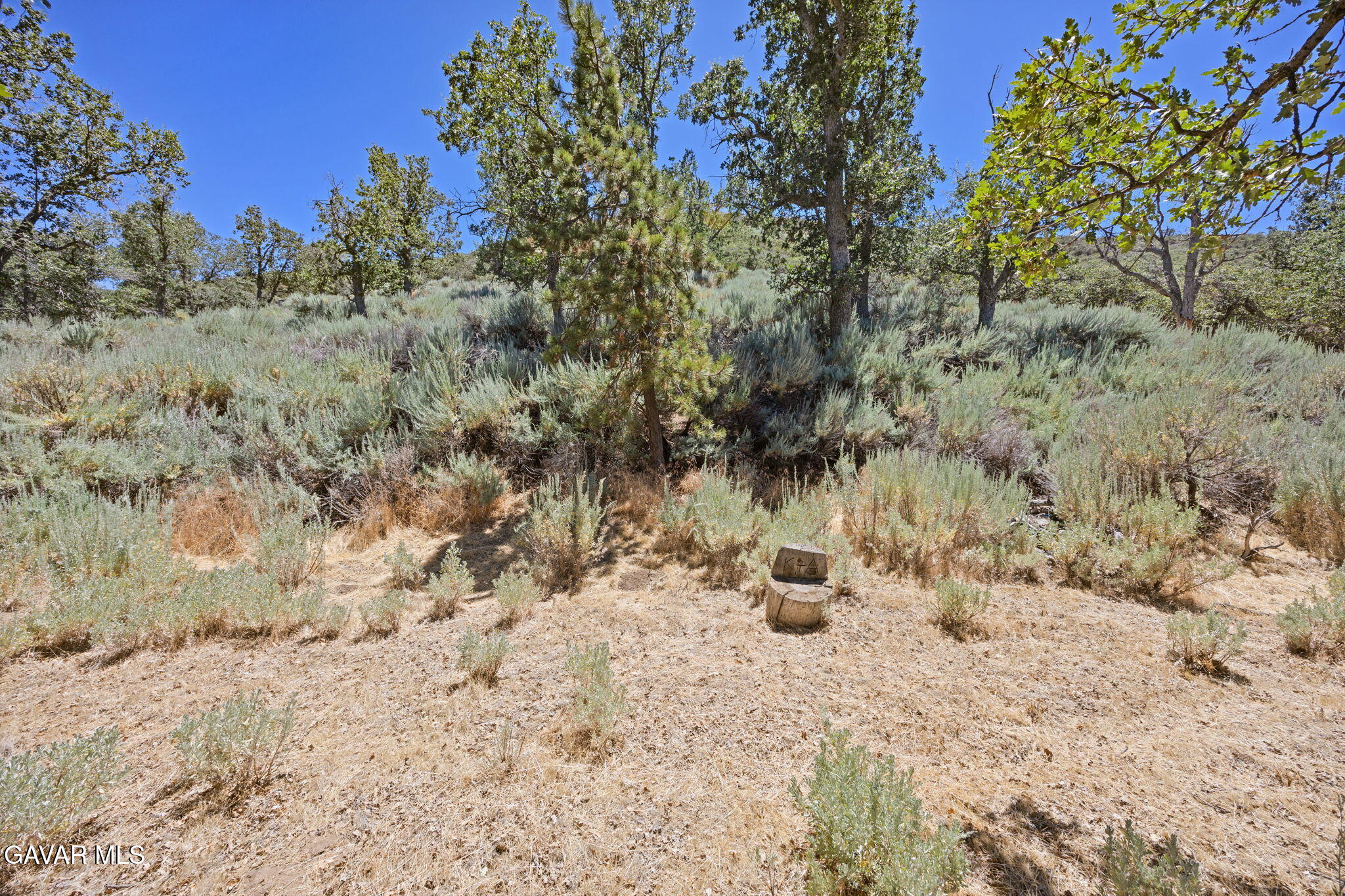 18295 Alps Drive Tehachapi, CA 93561 - Photo 35 of 37 35-web-or-mls-IMG_9794
