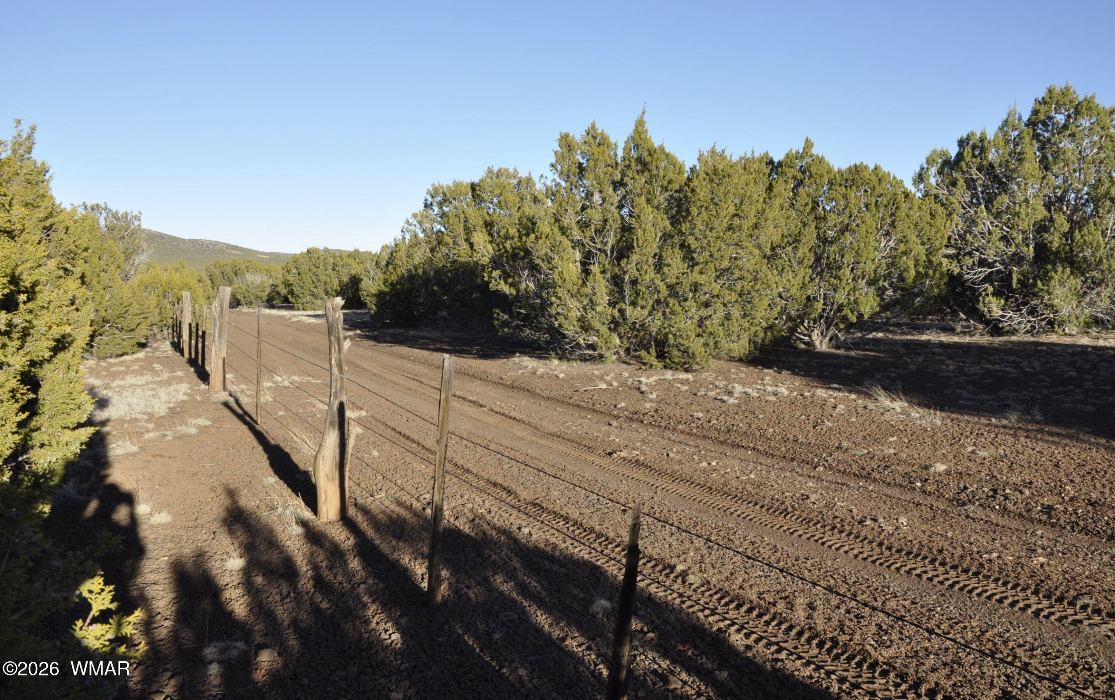 26 Ranch Road Taylor, AZ 85939 - Photo 13 of 17 a view of a road with mountain view