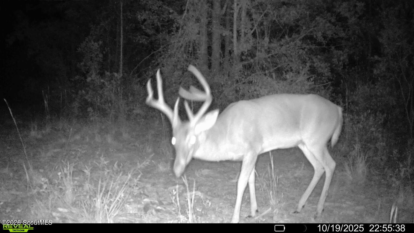 88 Minnesota Road Screven, GA 31560 - Photo 51 of 52