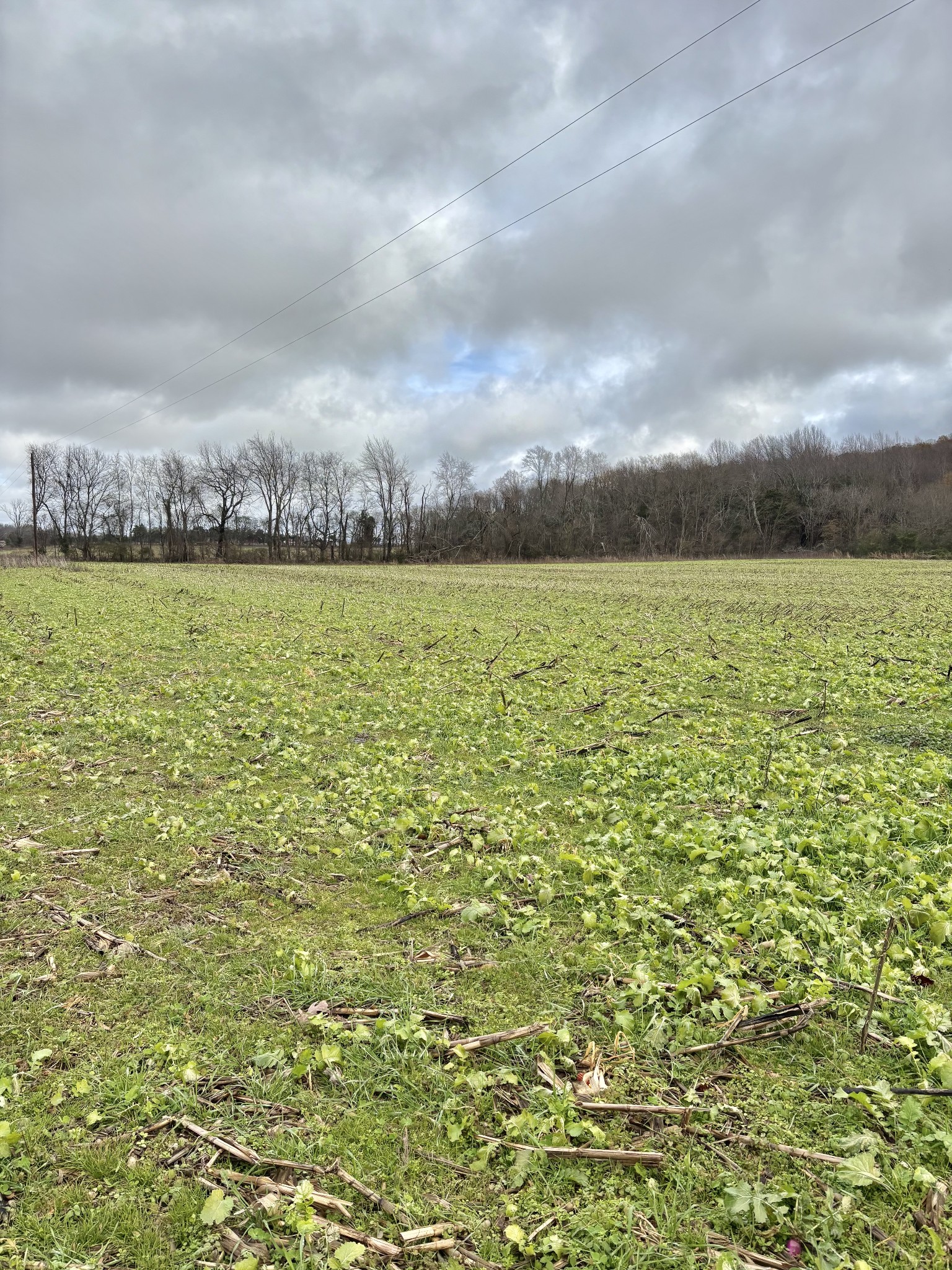 0 Hillsboro Viola Road Manchester, TN 37355 - Photo 5 of 12 Gallery Image 5