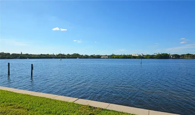 a sign on a palm tree