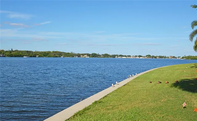 a view of a swimming pool with a lounge chairs