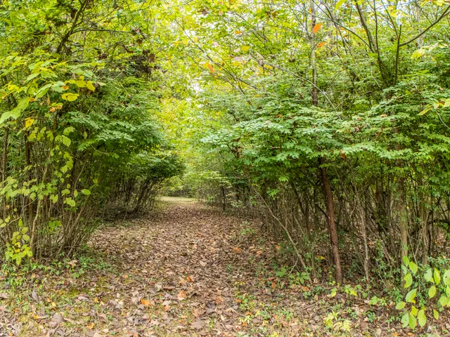 $550,000 | 3905 Little Hurricane Drive, Martinsville, IN 46151