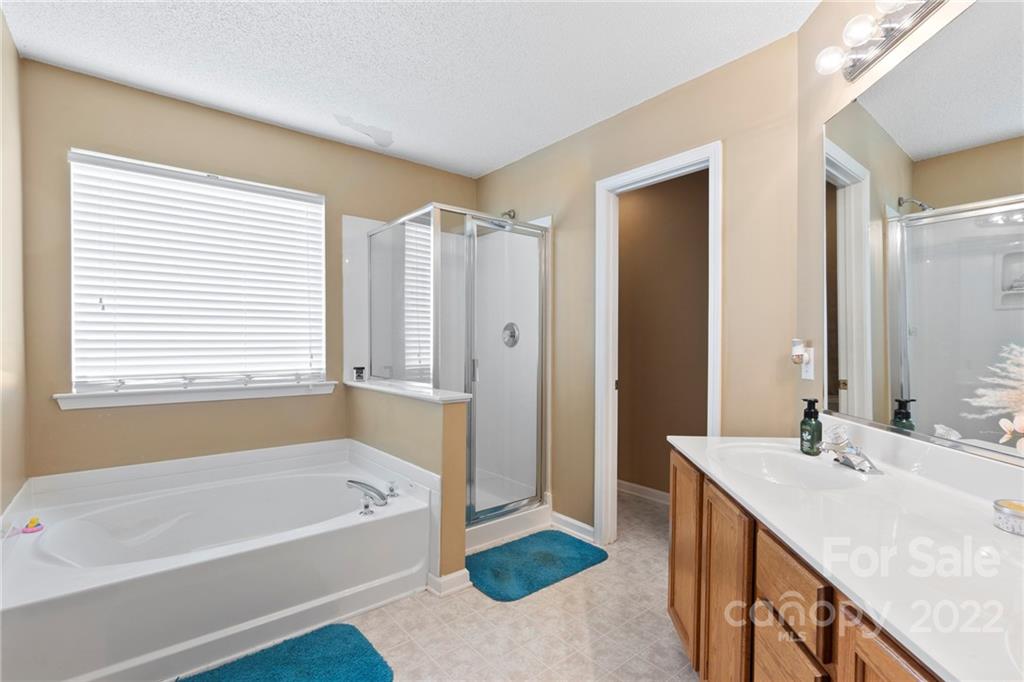 420 Wrayhill Drive Charlotte, NC 28262 - Photo 15 of 22 a bathroom with a tub a sink and a large mirror