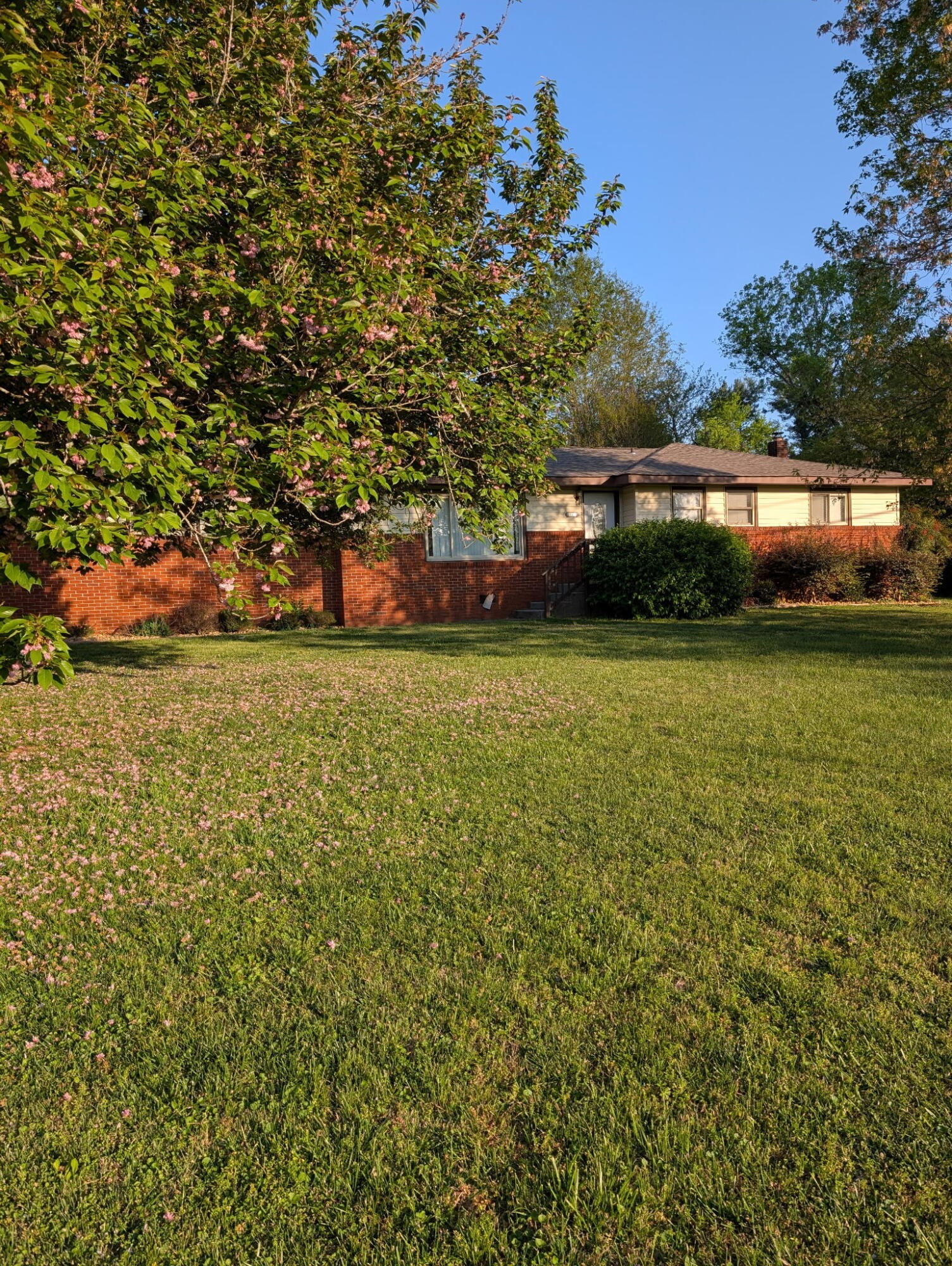 1239 Dossett Street Athens, TN 37303 - Photo 1 of 11 a view of a green yard with a house