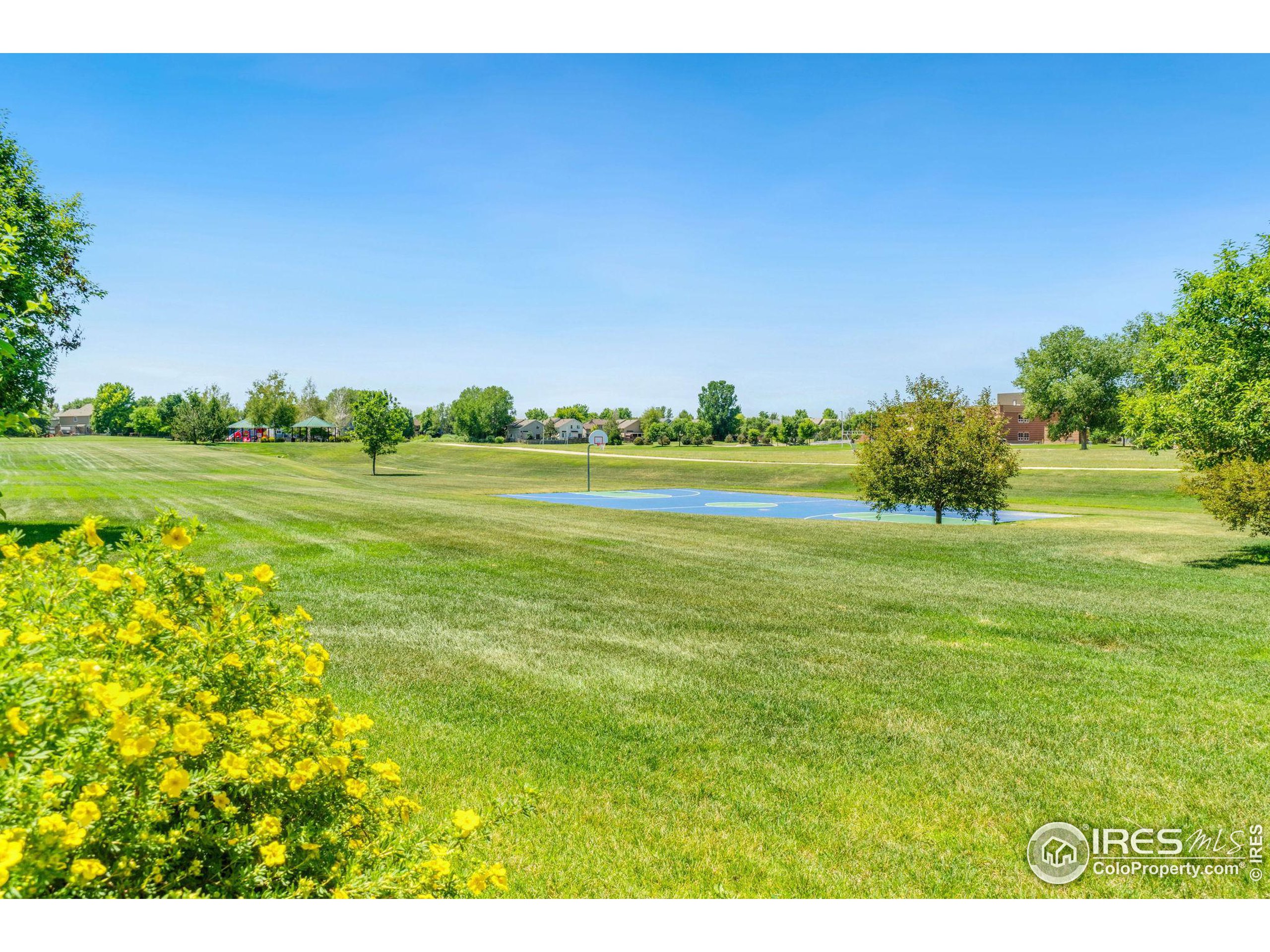 6512 Silverleaf Court Firestone, CO 80504 - Photo 27 of 29