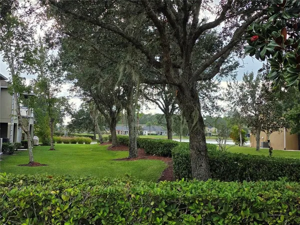 a view of a backyard with large trees