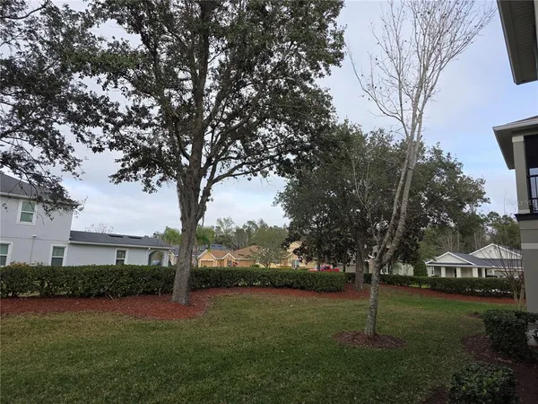 a view of backyard with green space