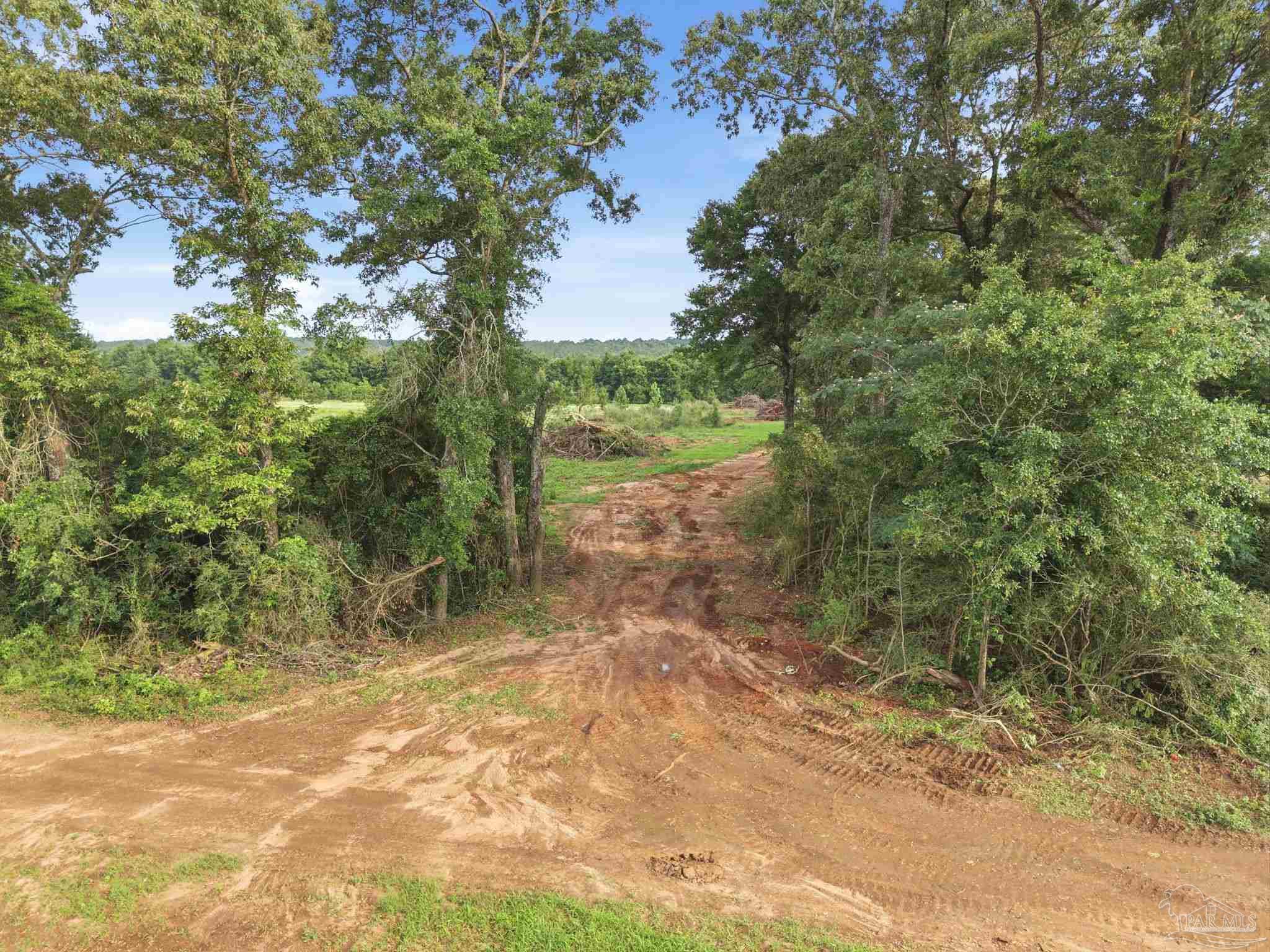 100 Mineral Springs Road Jay, FL 32565 - Photo 3 of 19 a view of a yard with a tree