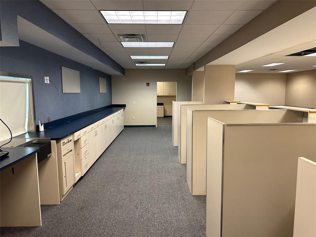 2046 Bayshore Boulevard Dunedin, FL 34698 - Photo 7 of 27