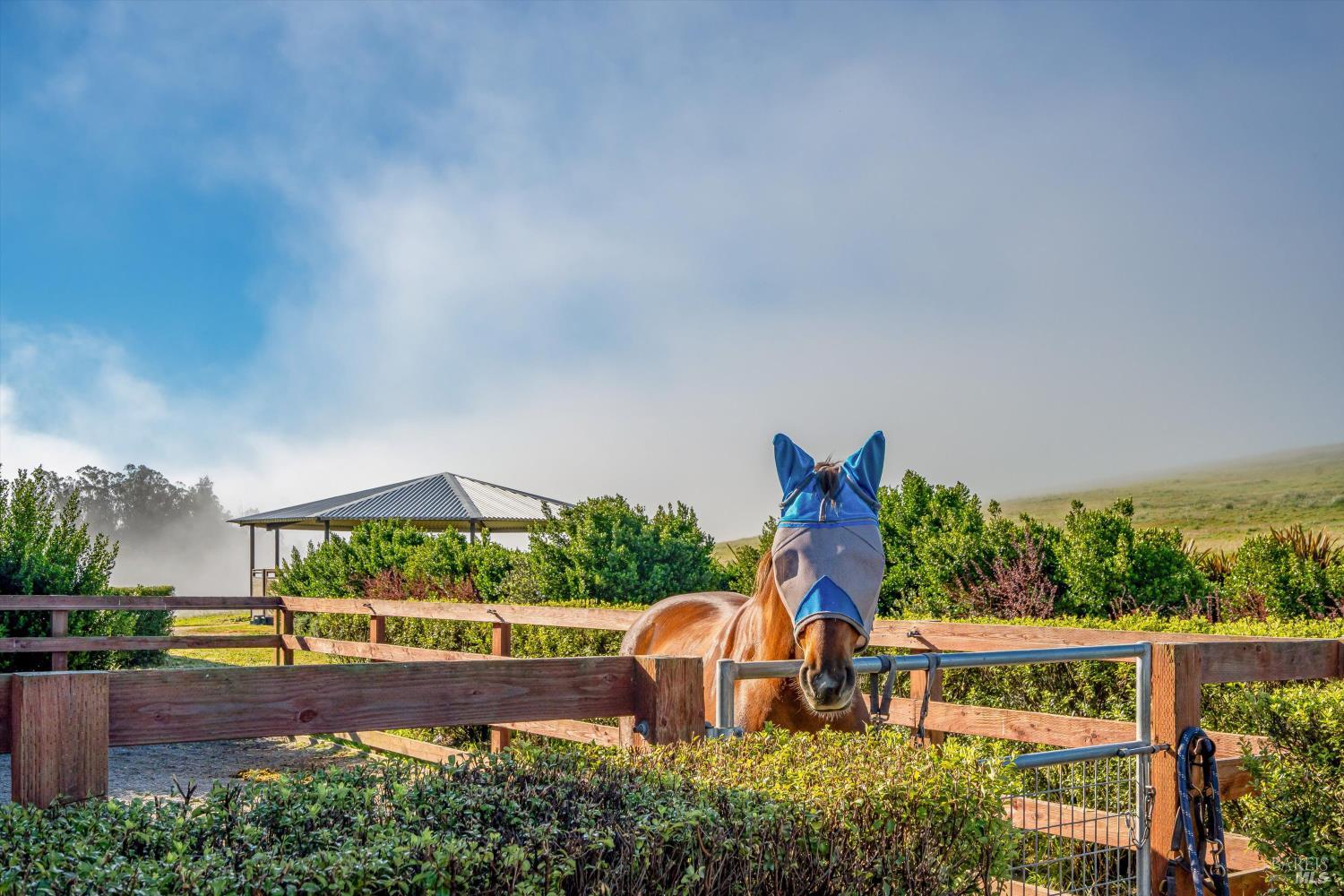 4707 Bloomfield Road Petaluma, CA 94952 - Photo 26 of 97
