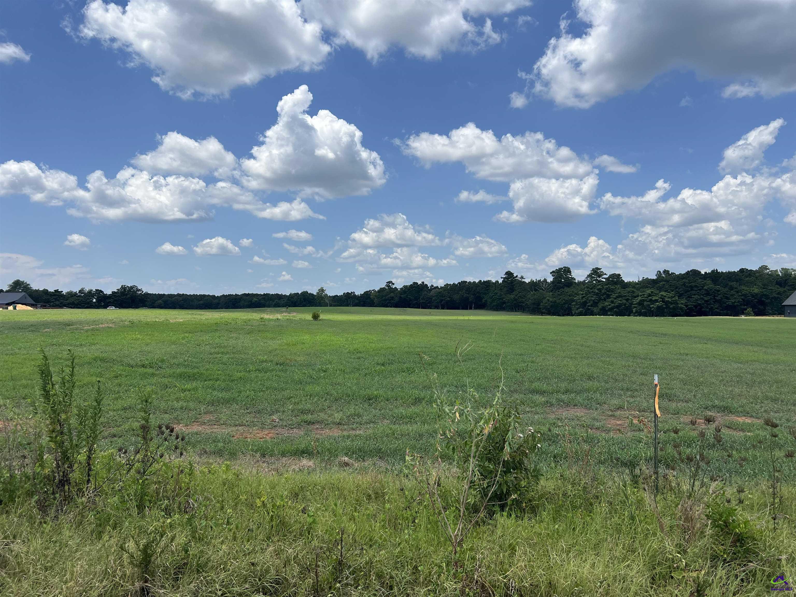 Gilbert Road Elko, GA 31025 - Photo 7 of 7