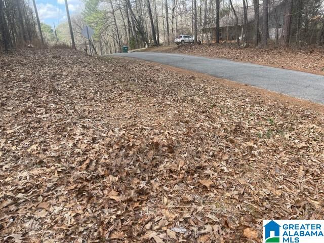 0 Ridgeway Circle, Unit 95 AND 96 Talladega, AL 35160 - Photo 4 of 10