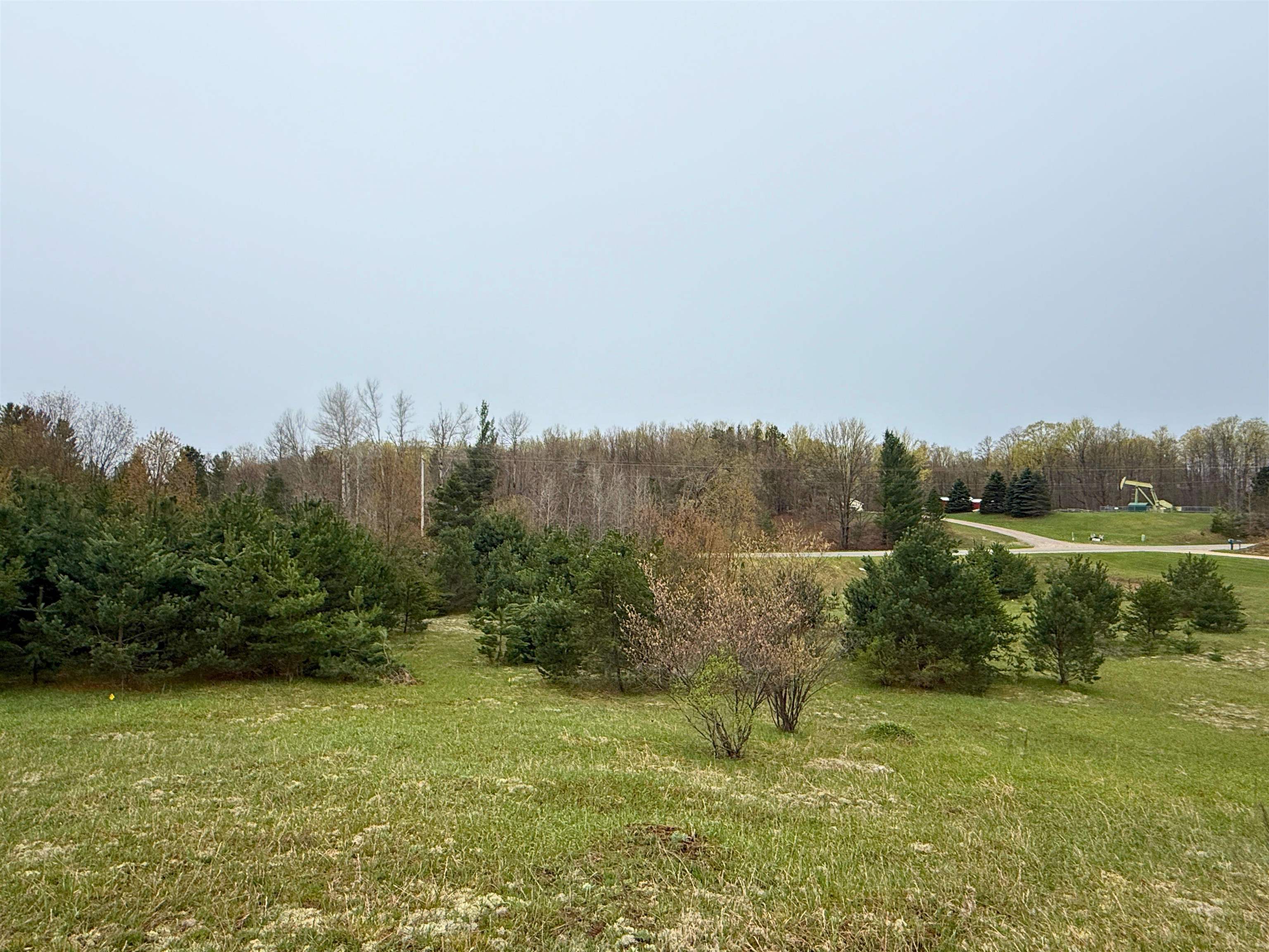 0 West County Line Road, Unit LOT: C Thompsonville, MI 49683 - Photo 6 of 21