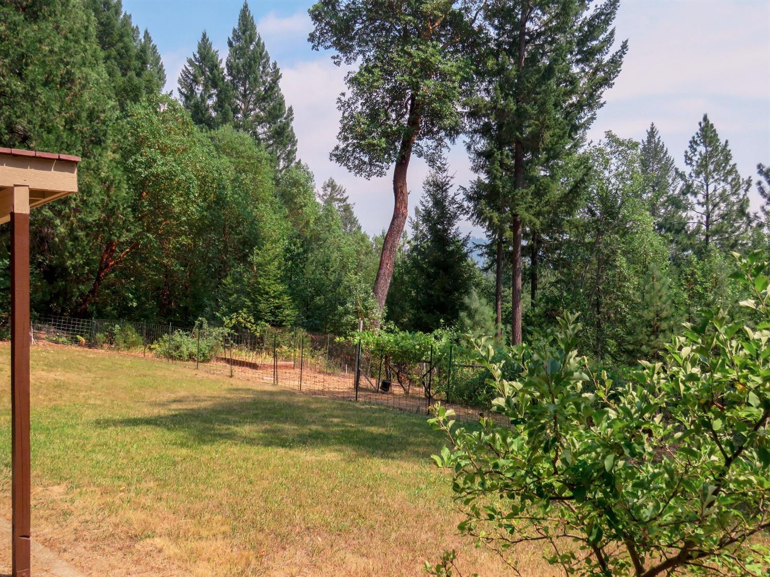 2023 Deer Creek Road Selma, OR 97538 - Photo 30 of 35 Additional Photo
