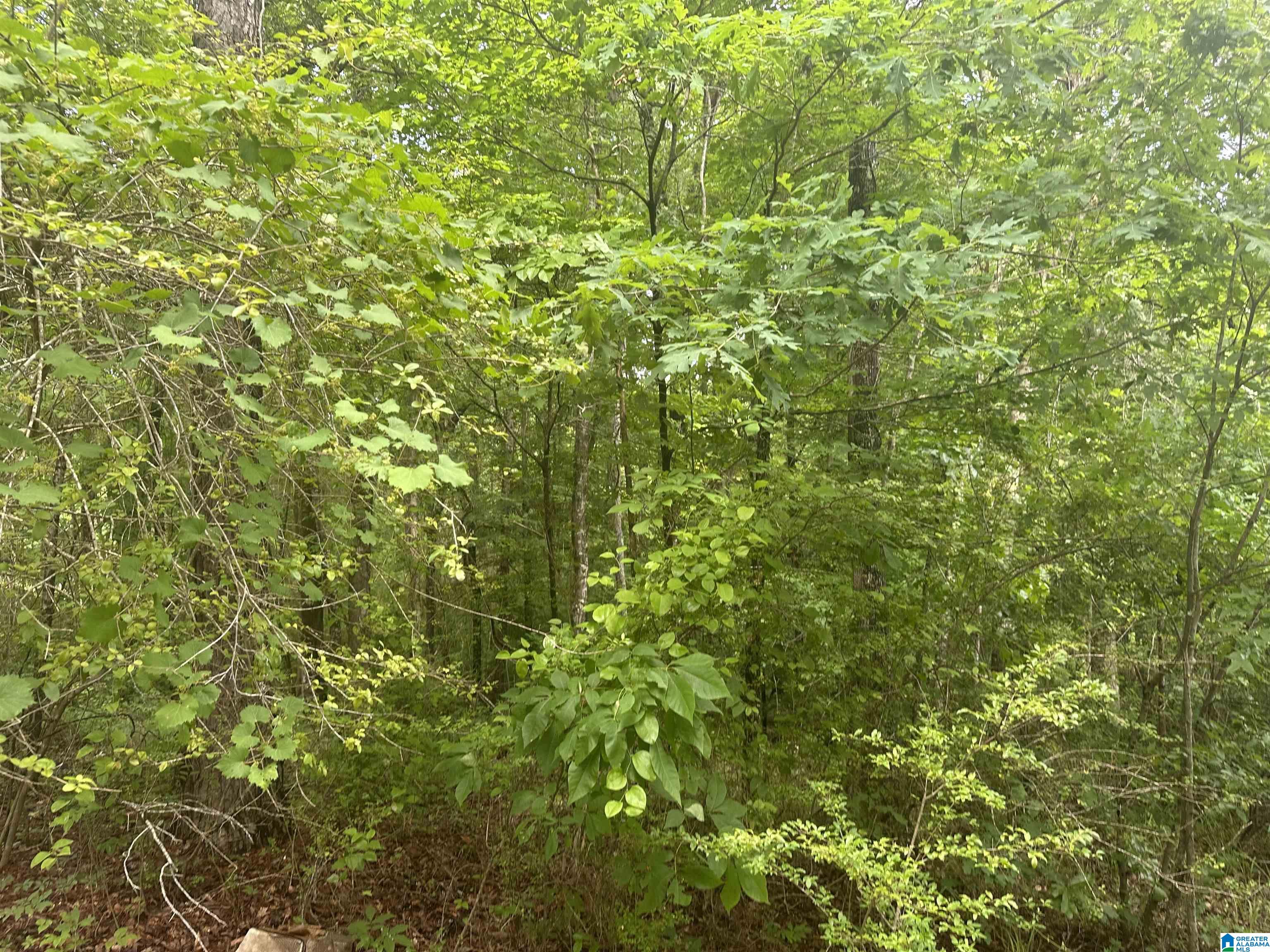 3098 McClendon Chapel Road Bessemer, AL 35022 - Photo 11 of 16