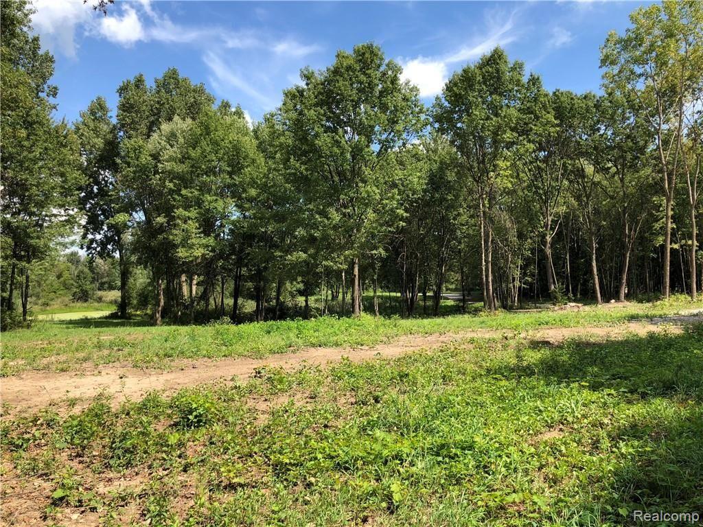 23 Euler Road Brighton, MI 48114 - Photo 14 of 25