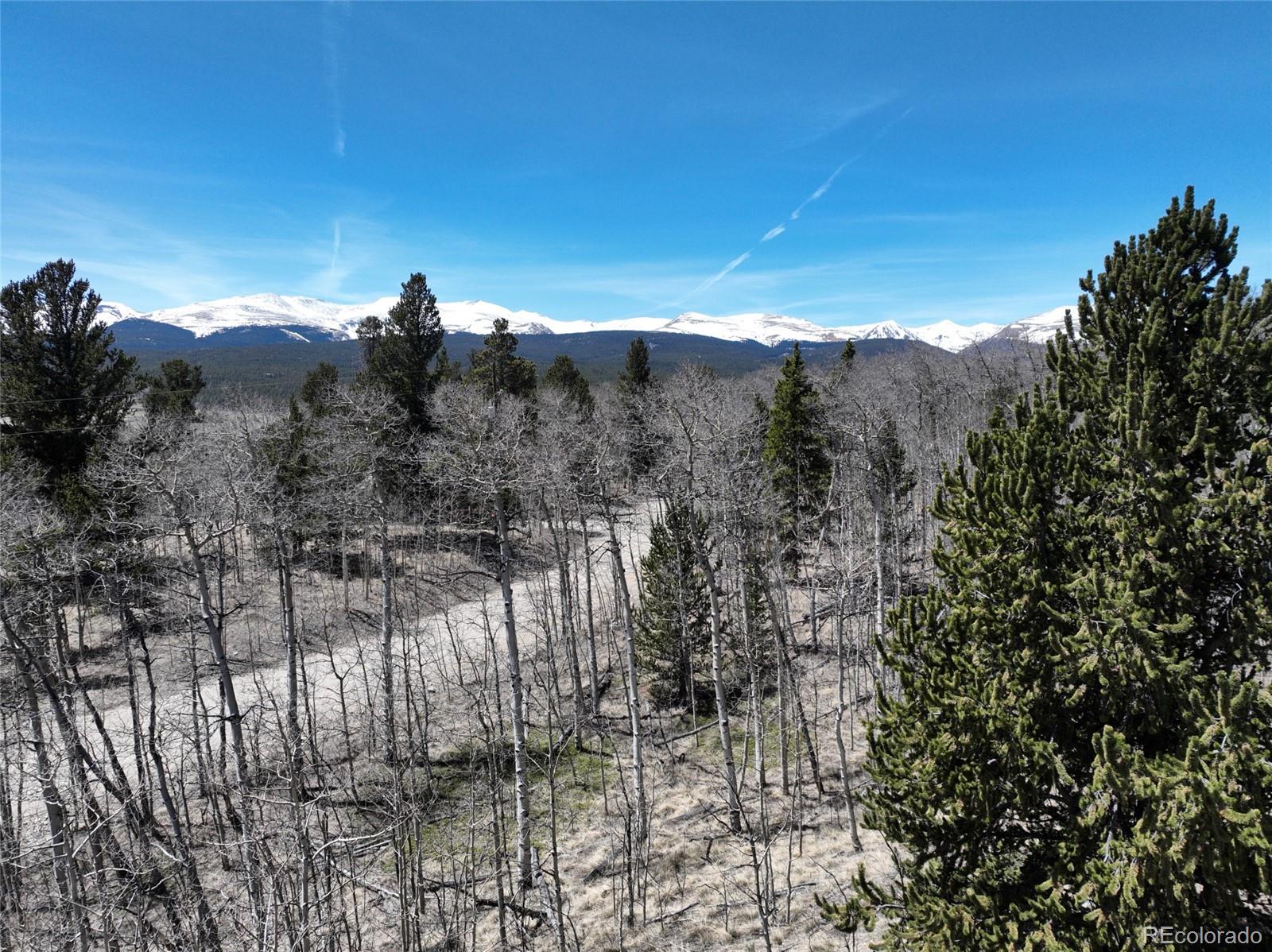 Beaver Ridge Road Fairplay, CO 80440 - Photo 2 of 12 a view of a city