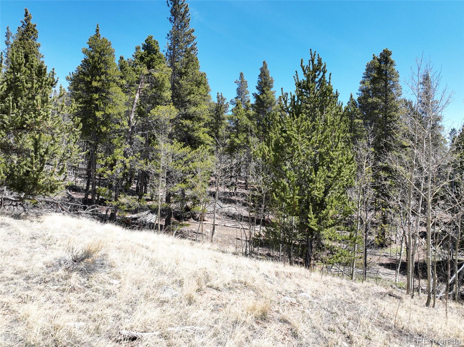 Beaver Ridge Road Fairplay, CO 80440 - Photo 4 of 12 a view of a yard covered in snow
