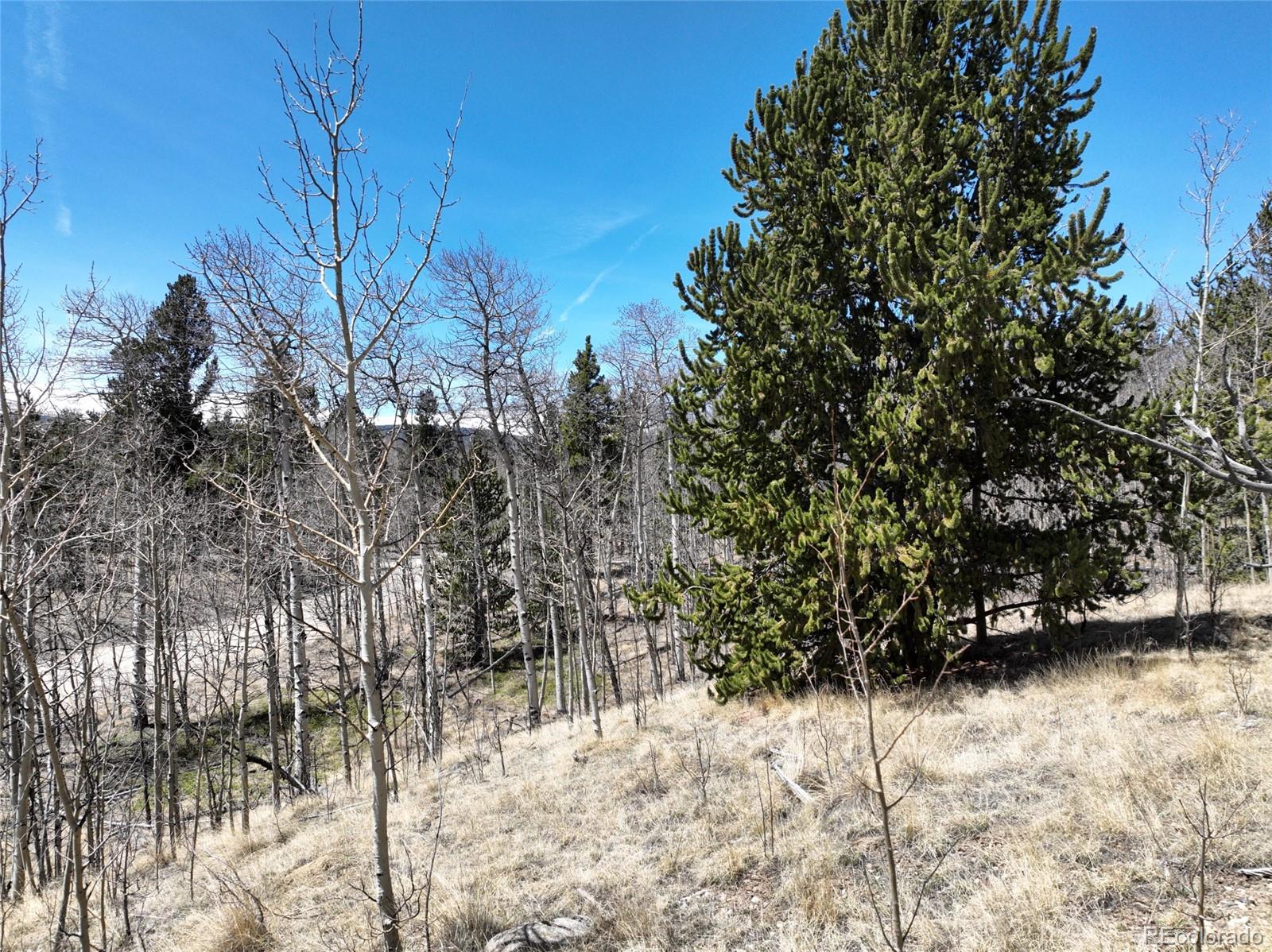 Beaver Ridge Road Fairplay, CO 80440 - Photo 5 of 12 a view of a yard covered in snow
