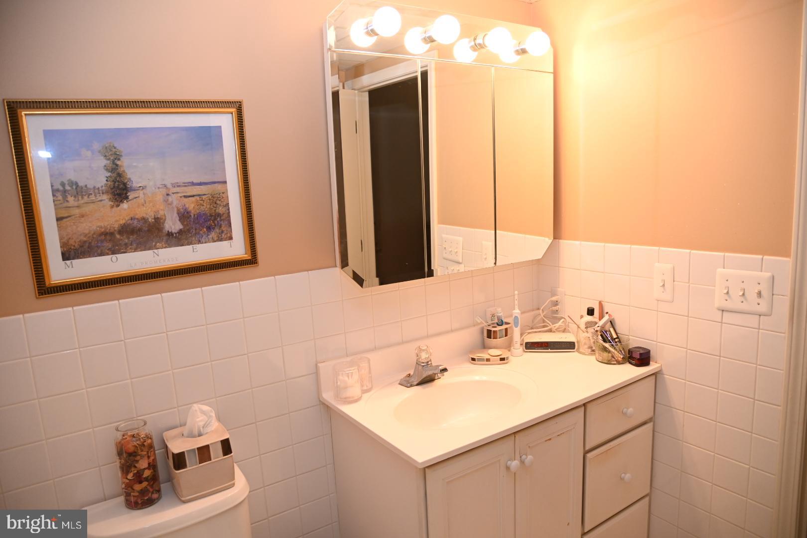 5303 Centennial Station Warminster, PA 18974 - Photo 22 of 60 a bathroom with a sink vanity and a mirror