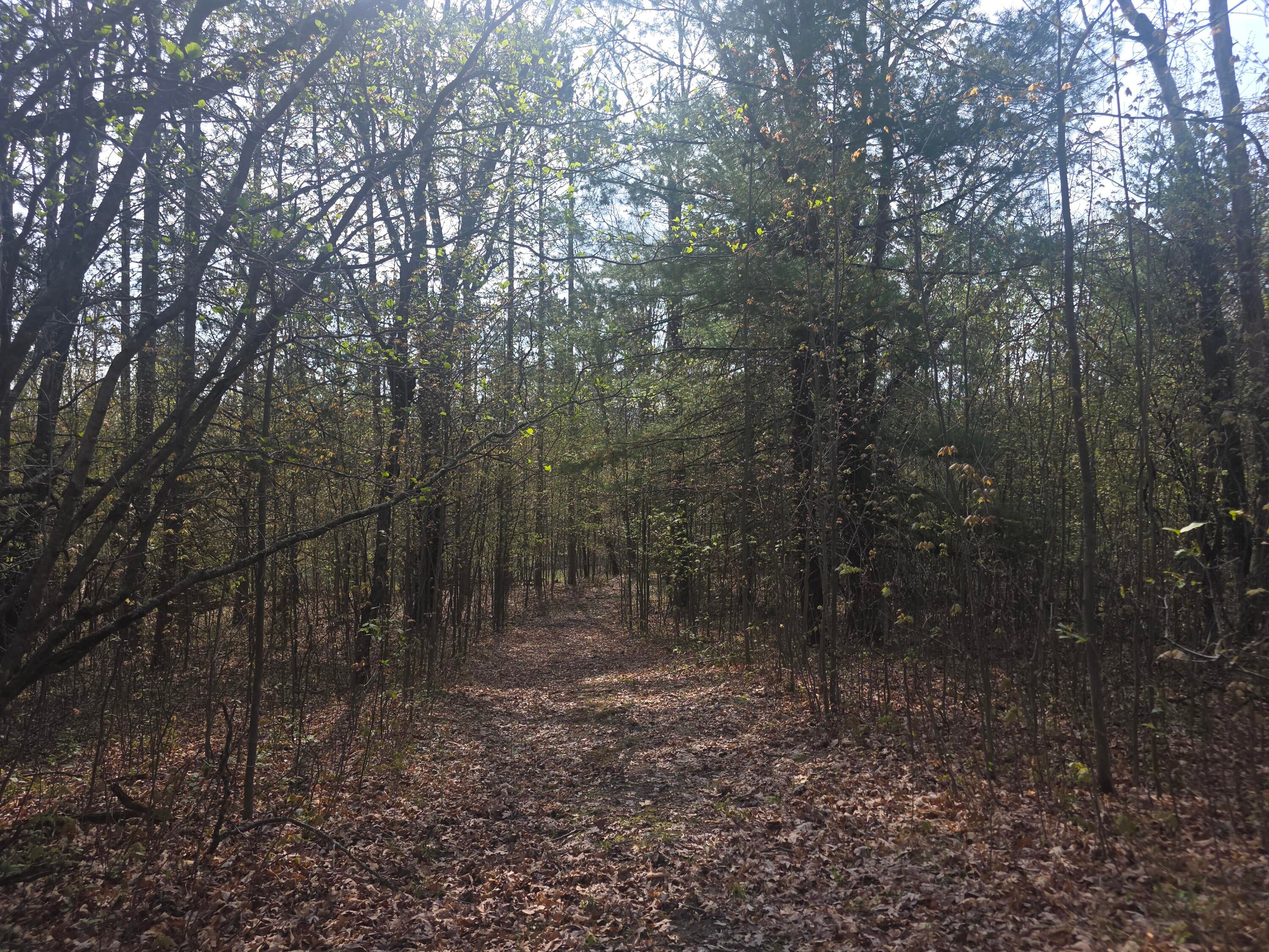 3881 Brodie Road South Branch, MI 48761 - Photo 16 of 19 20260518_095839