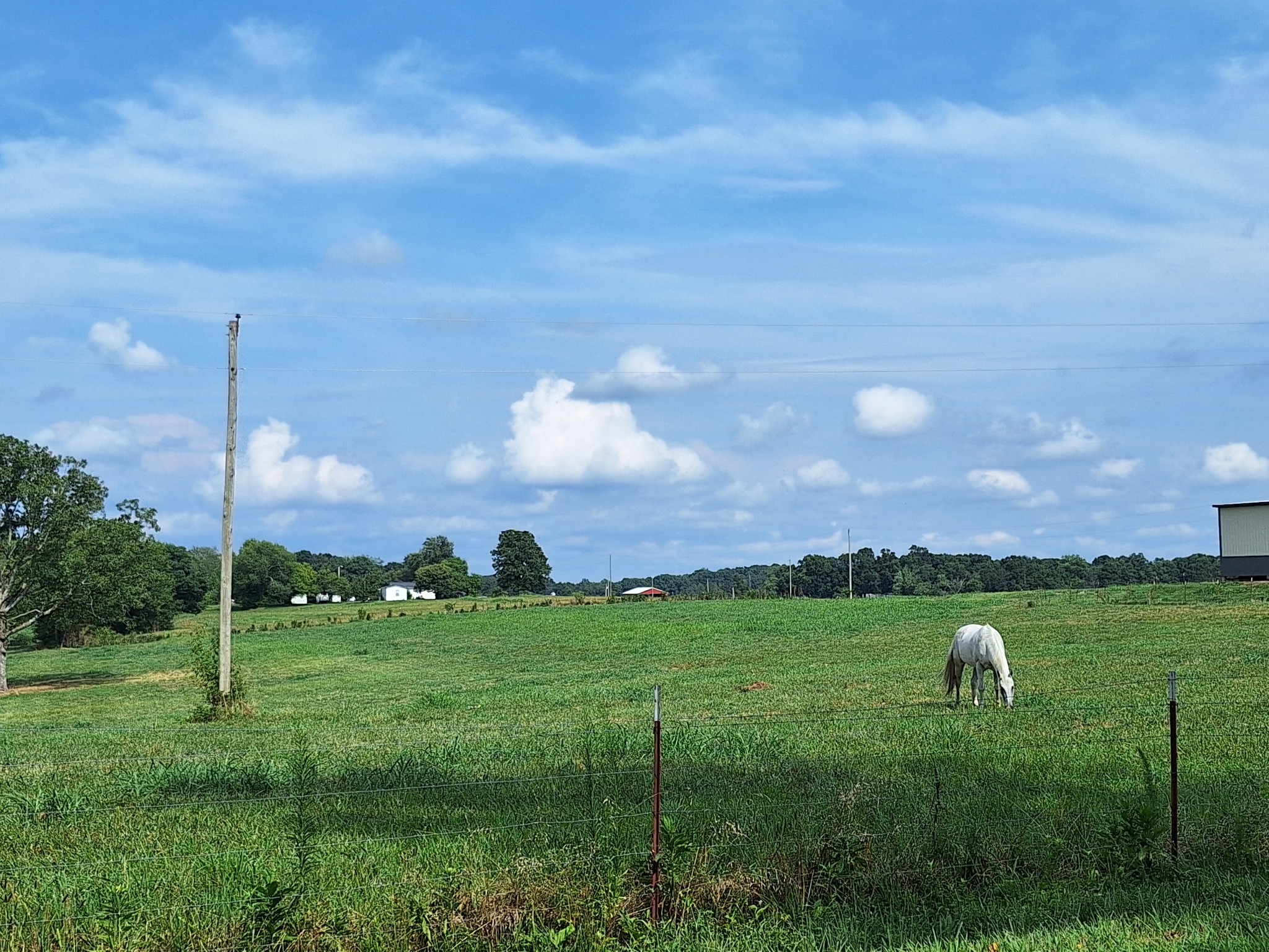 654 Revilo Road Leoma, TN 38468 - Photo 35 of 36