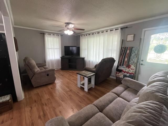 654 Revilo Road Leoma, TN 38468 - Photo 8 of 36