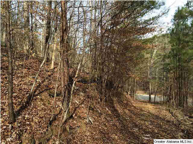 734 Valley Grove Road, Unit 15 4 ACR Remlap, AL 35133 - Photo 26 of 32