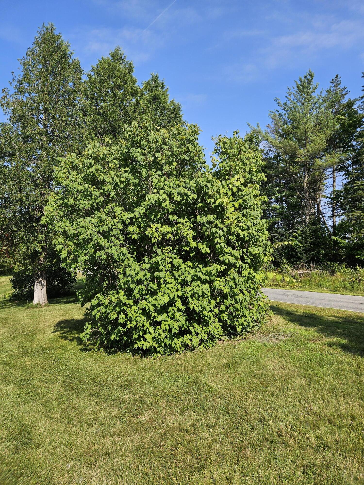 778 Kennebec Road Hampden, ME 04444 - Photo 13 of 30 20240722_160802