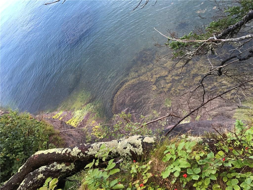 Xx Shore Road Perry, ME 04667 - Photo 23 of 77 View looking down from the tree...