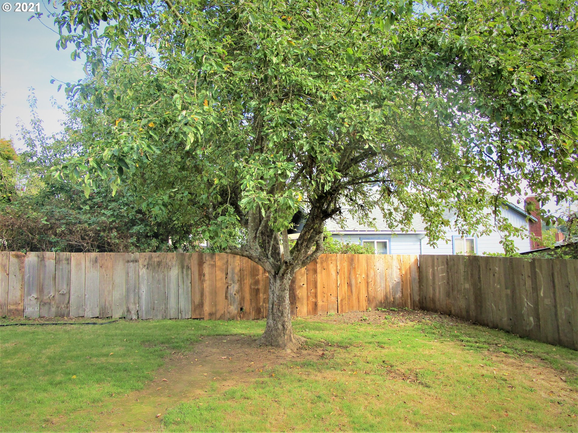 723 Bender Street Myrtle Point, OR 97458 - Photo 28 of 32 Gallery Image 28