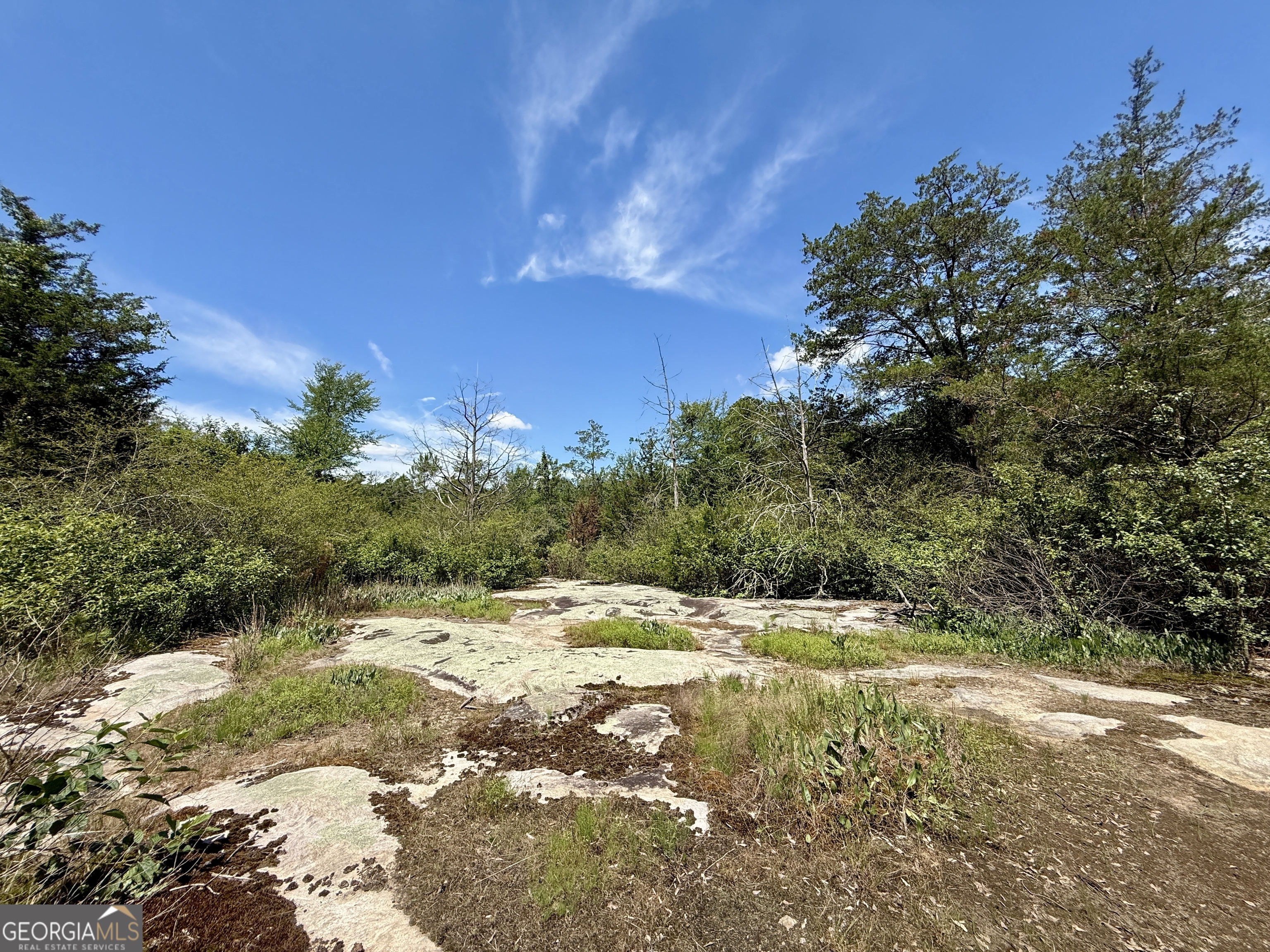 14.21-acres Northwest Irwin Bridge Road Northwest Conyers, GA 30012 - Photo 7 of 12