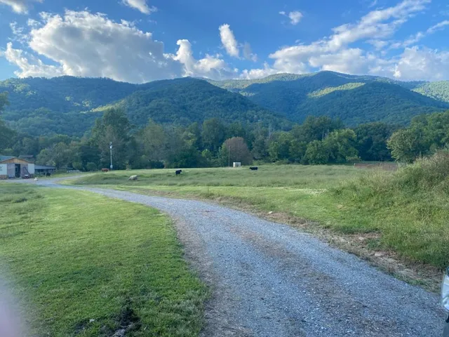 a view of a big yard with green space