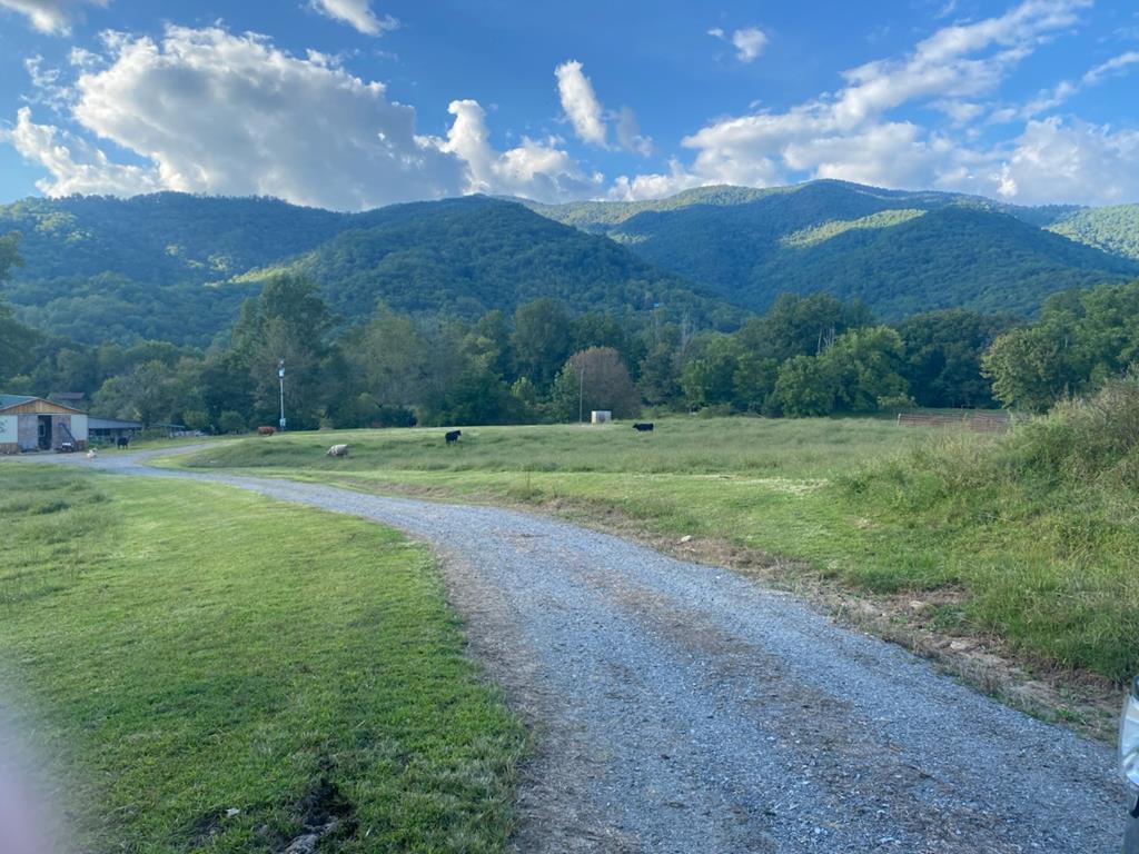 10617 Highway 64 Hayesville, NC 28904 - Photo 1 of 5 a view of a big yard with green space