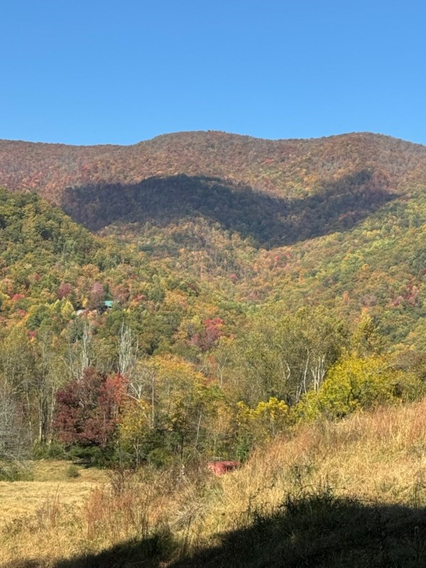 10617 Highway 64 Hayesville, NC 28904 - Photo 2 of 5 a view of ocean and mountain