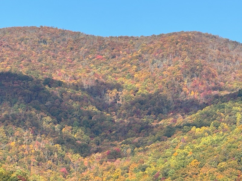 10617 Highway 64 Hayesville, NC 28904 - Photo 3 of 5 a view of mountains and valleys