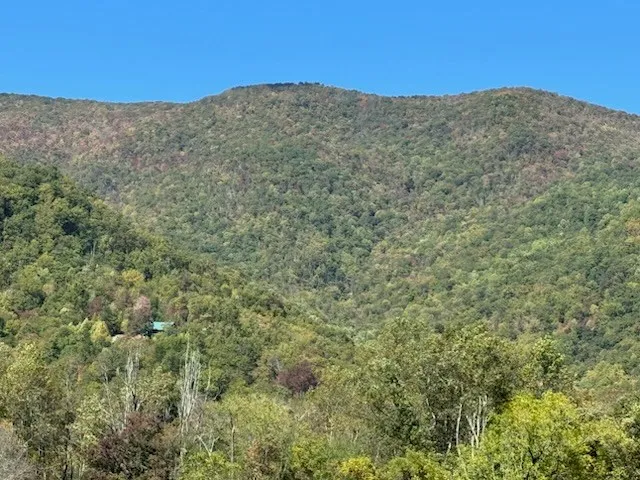 a view of a mountain range with trees in the background