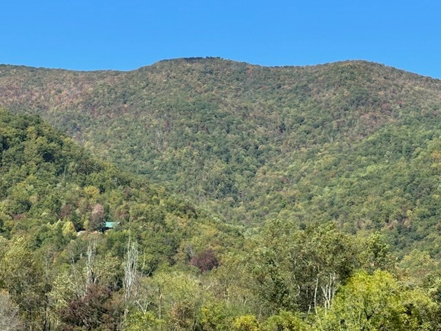 10617 Highway 64 Hayesville, NC 28904 - Photo 5 of 5 a view of a mountain range with trees in the background