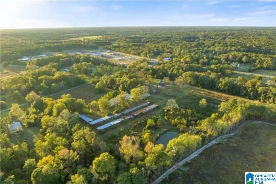 484 Blanding Road Hatchechubbee, AL 36858 - Photo 17 of 17