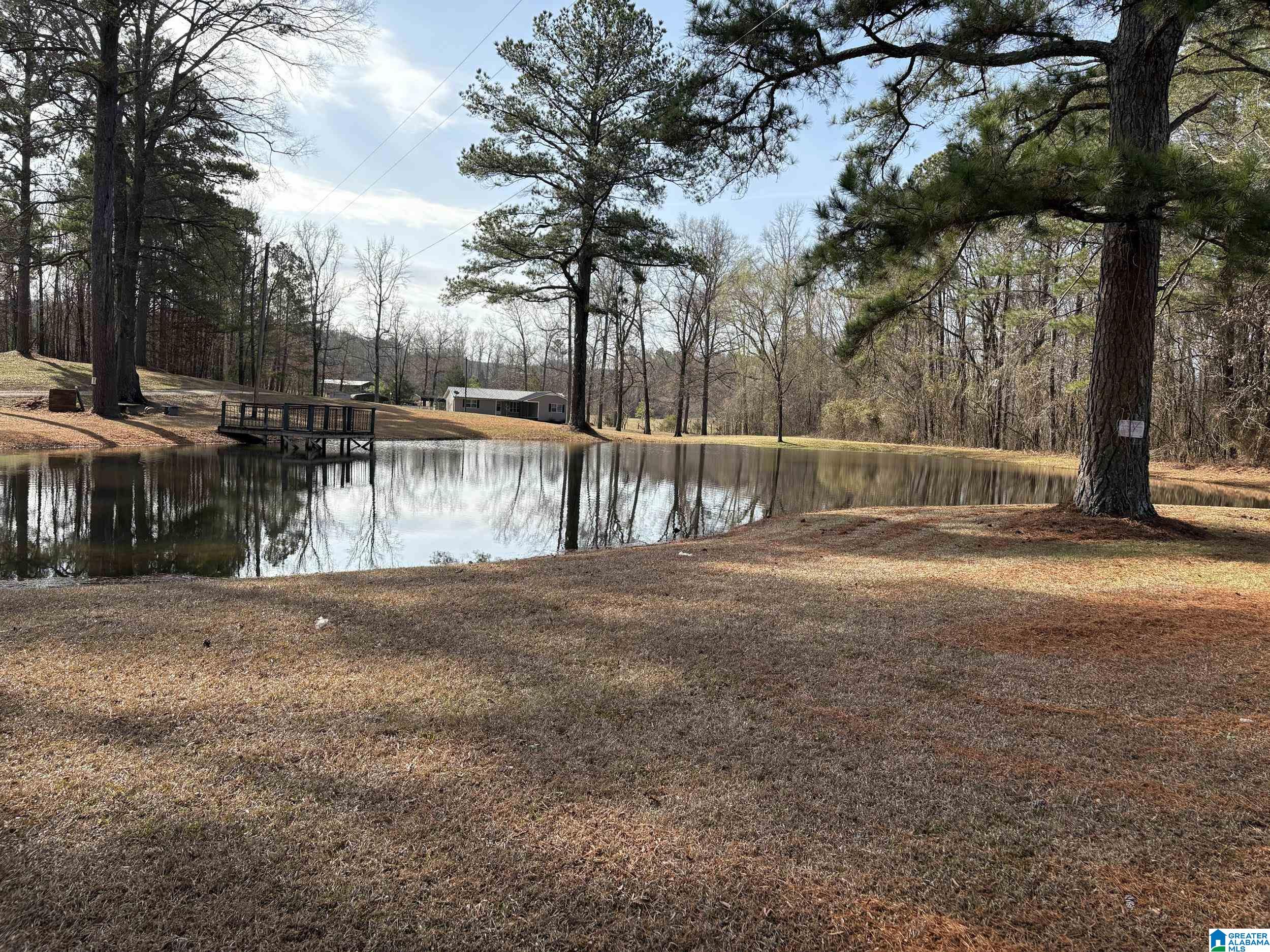 174 Mountain Road Ohatchee, AL 36271 - Photo 7 of 30